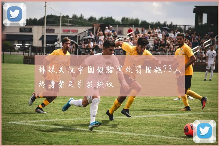 韩媒关注中国假赌黑处罚措施73人终身禁足引发热议