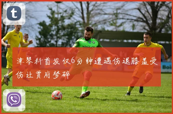 津琴科首发仅6分钟遭遇伤退膝盖受伤让贾府梦碎