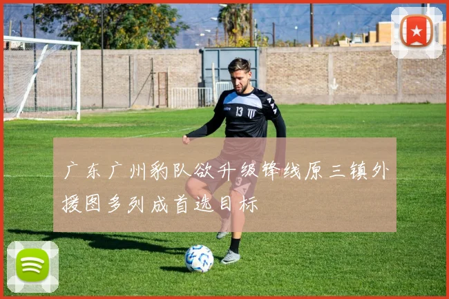 广东广州豹队欲升级锋线原三镇外援图多列成首选目标